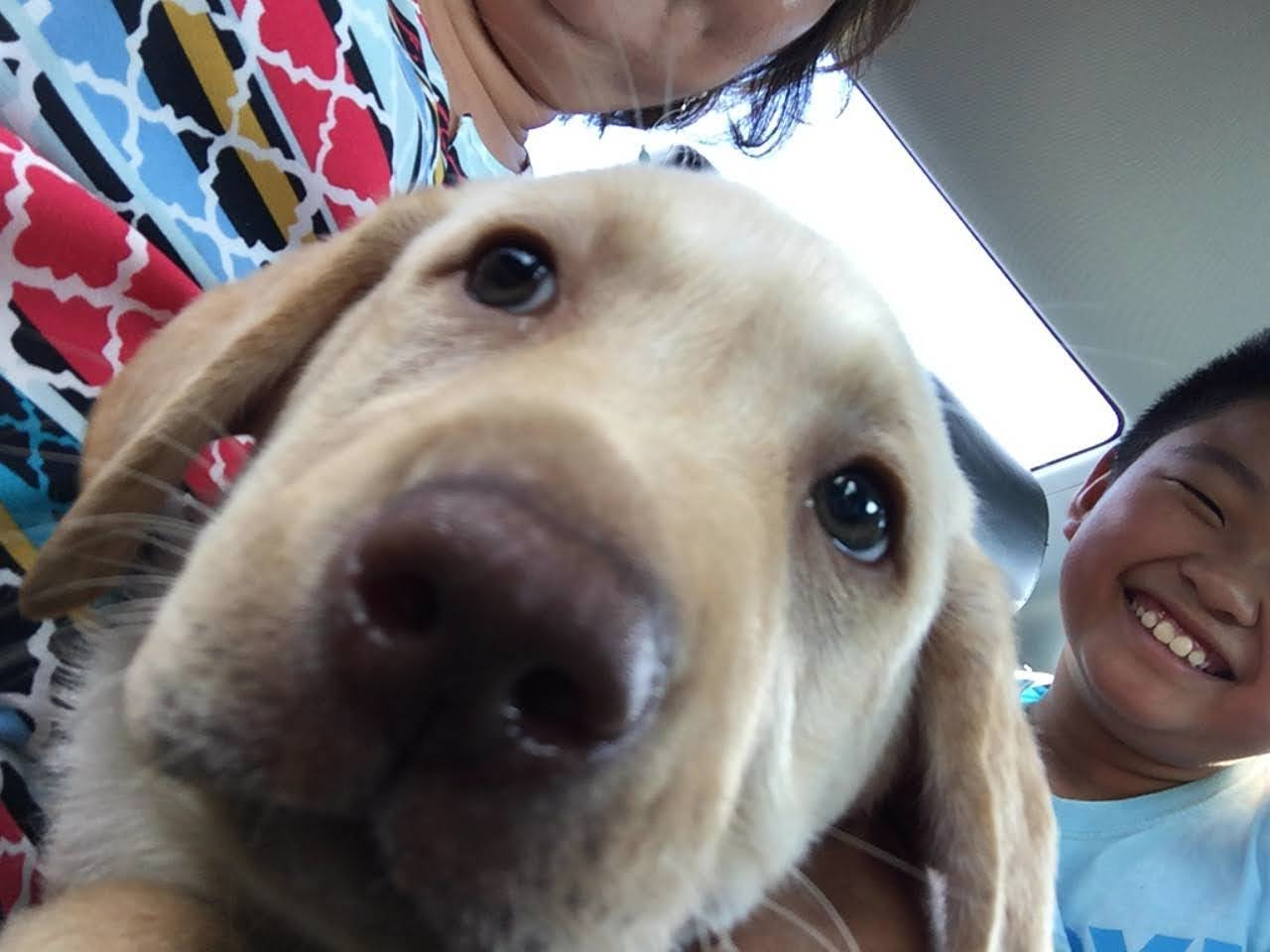 Puppy Lablab in a close-up car selfie with a smiling boy
